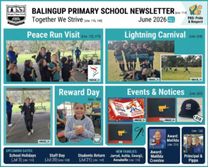 Newsletter Term 2 Week 10