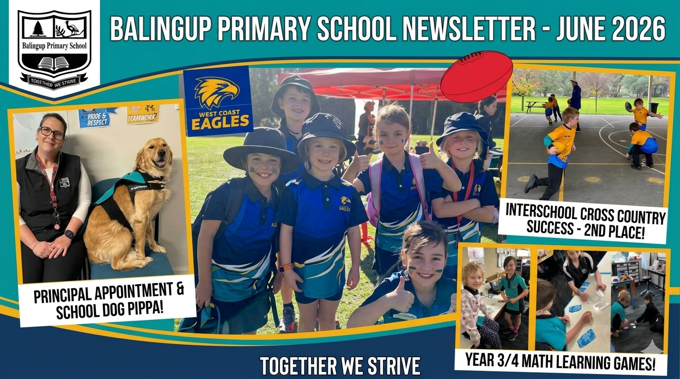 Newsletter Term 2 Week 8